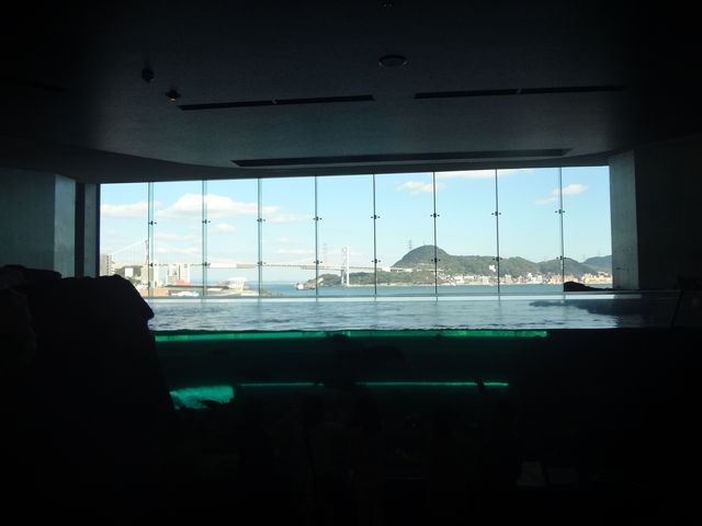 �n���̋��̐����̌������ɂ͊C���̌i�F���]�߂܂�_���֎s�������̂��������فE�C����