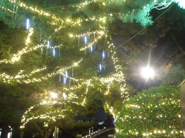 �N���X�}�X�̃C���~�l�[�V����
_�半����