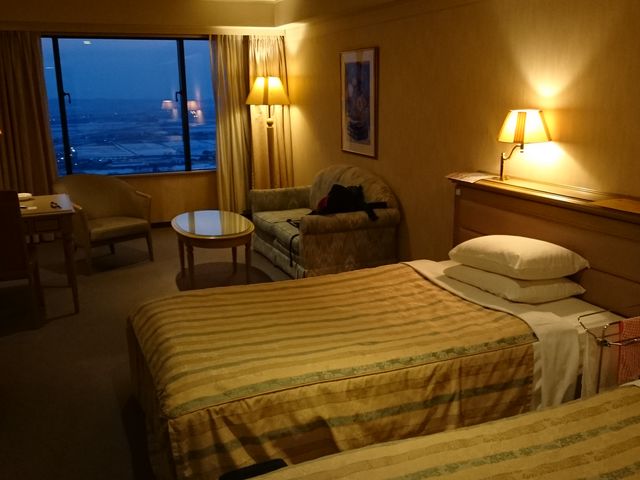 17�K�q��_���X�e�����c��