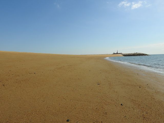 �����͓��{��?  �ō�����_�����r�[�`�Ė�