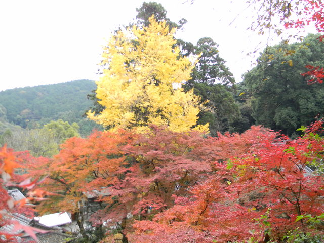 DX񂿂񂳂̉i̓eʐ^2