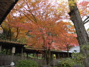 DX񂿂񂳂̉i̓eʐ^1