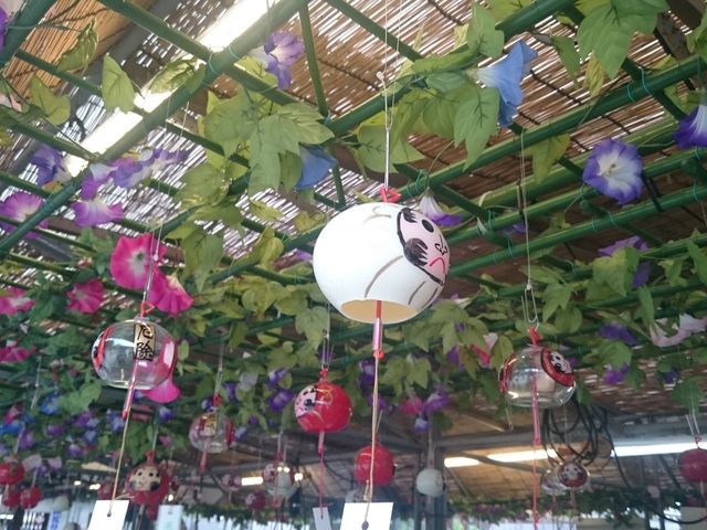 ����܂̕��邪���炵�������ł��B_���Ԏ��i����t�j