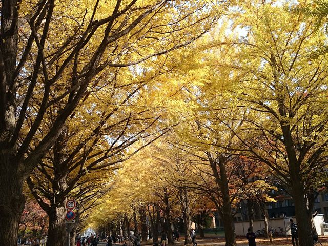 �k��C�`���E����