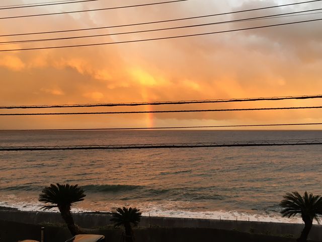 ���̓��͓܂��Ă����Ǔ����݂��܂���_���c����