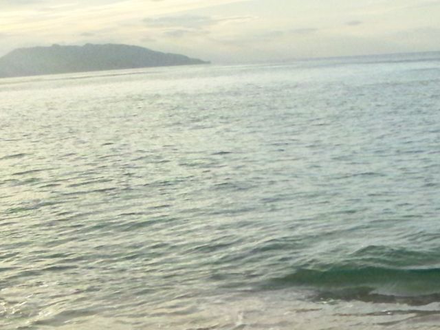 ���R����̌��i�Ǖ����̓��e�ʐ^1