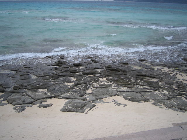 ����_����