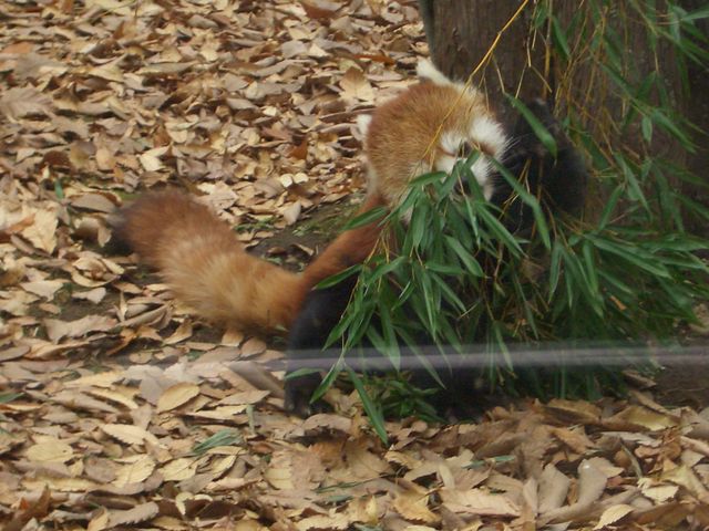 �~�R������