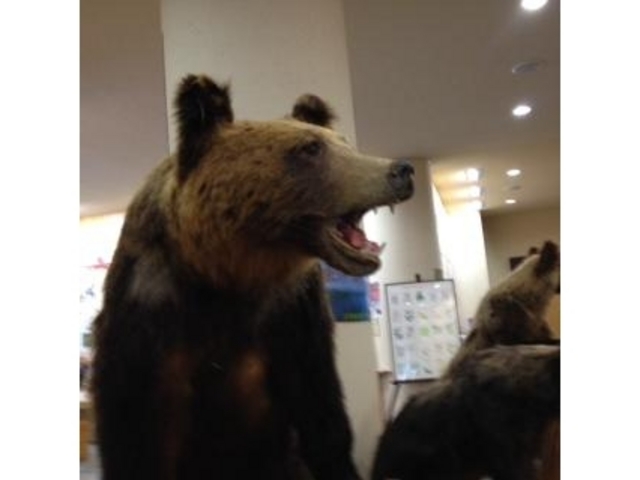 �x┌΃r�W�^�[�Z���^�[