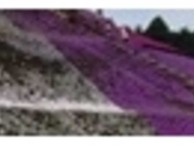 �����h�C�c��