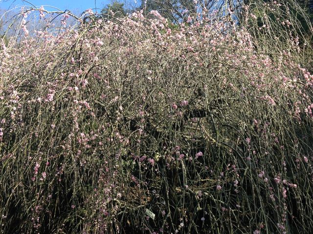 �����R�~��