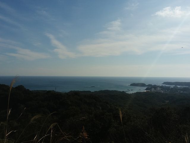 �p�[�����[�h