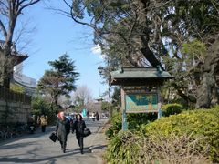 rey����̏�쐸�{���ւ̓��e�ʐ^1