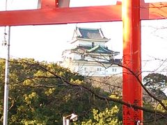 XNp[}̘a̎Rւ̓eʐ^1