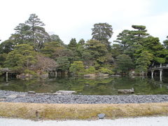 �����⃵����̋��s�䏊�ւ̓��e�ʐ^1