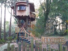 ツリーハウスが最高！ - ホウリーウッズ久留里キャンプ村のクチコミ