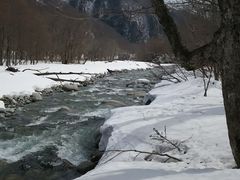 ˂񂳂̃JbpCLUBւ̓eʐ^1