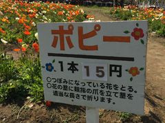 Ԃ񂳂̔lt[p[Nւ̓eʐ^1