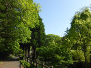 ORVR̍hOZ^[Lv̓eʐ^2