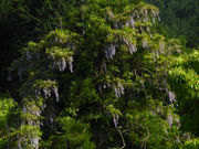 ORVR̍hOZ^[Lv̓eʐ^4