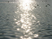 Ƃ񂿂񂳂̌c݂ƌ̓eʐ^1