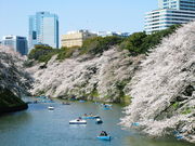 ݂񂳂̐璹PΓ̍؂̓eʐ^1