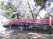 �����݂���̎����_�Ђ̓��e�ʐ^1