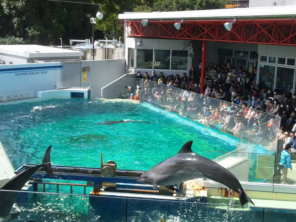 しながわ水族館