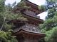 獅子次郎さんの安楽寺三重塔の投稿写真1