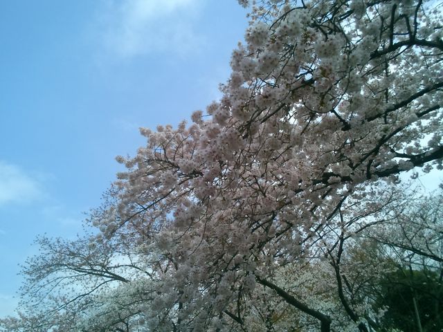 ��̉� �������J�ɁB_��쉶������