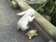 sachiko̖@̃AWTC̓eʐ^2