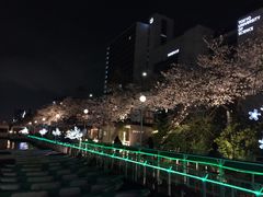 }񂳂̃Ji@JtFւ̓eʐ^1