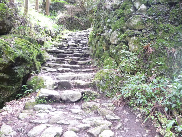 �s�����ȐΒi�Ƒ������Βi������
�ցA�}���T�N�A���A�V���K�̉ԁE�E���Ȃ���y���܂��Ă�������B_�����R�{����