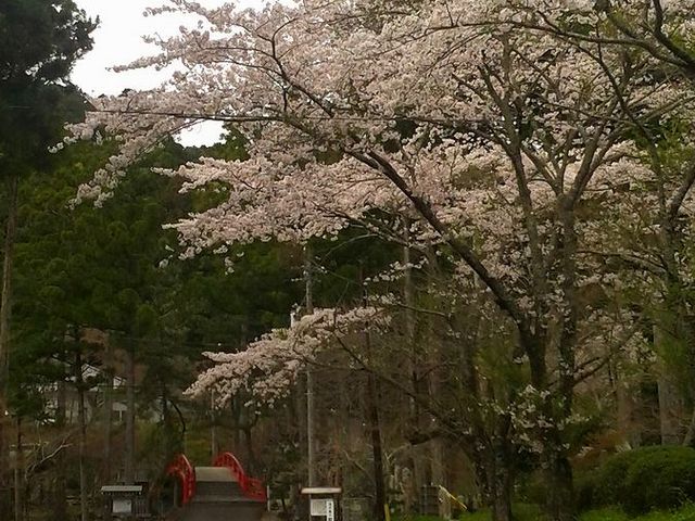 ���ʎQ��_�哴�@