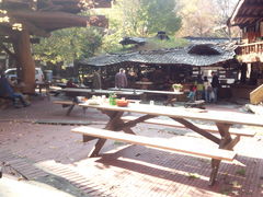 `񂳂̃JifBAt@[ւ̓eʐ^1