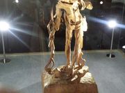 ǂ񂳂̔ˍR܂̔ق̓eʐ^3