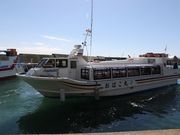 Ƃ񂳂̍여VD̓eʐ^2