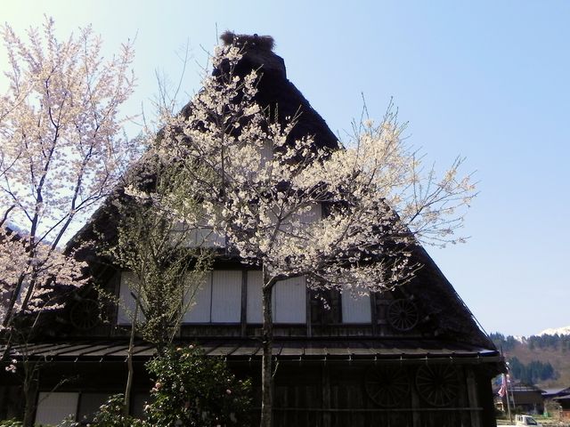 ���̉w ���싽