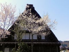 白川郷に行くなら此処に立ち寄ることをお勧めします 道の駅 白川郷の