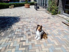 katanȃ召ւ̓eʐ^1