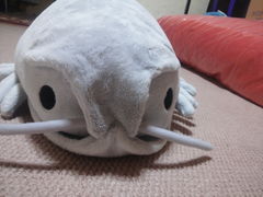 CVك~[WAVbv^CVق̃IWiObY̎ʐ^1