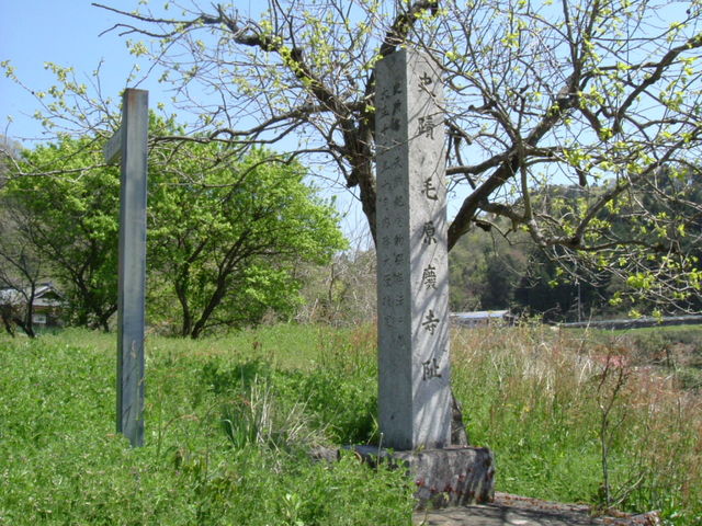 ��Ֆ��������Β��B_�ь��p����