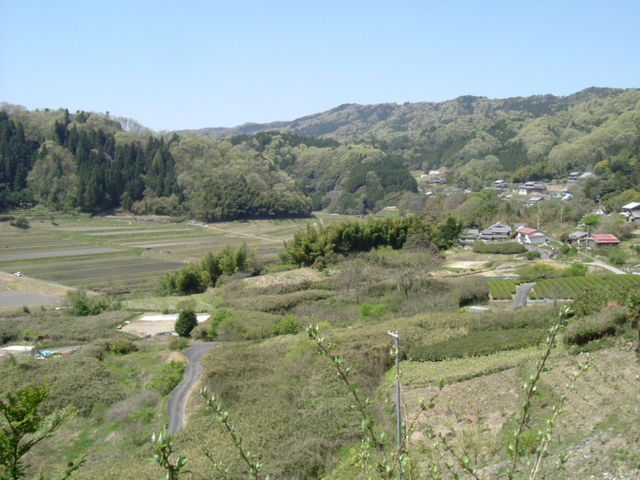 r[S750̖ьpՂ̓eʐ^3