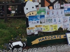 ���P����̂������P�P�W�ւ̓��e�ʐ^1