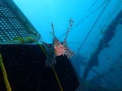 yuu8024ỹ_CrOVbvMIUւ̓eʐ^1