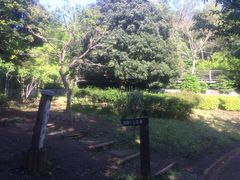 kazủTӂ邳ƌւ̓eʐ^1