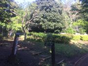 kazủTӂ邳ƌ̓eʐ^1