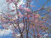 ݂񂳂̗闖Jg[Nu̓eʐ^1