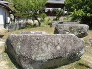 r[S750̖ьpՂ̓eʐ^2