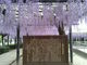 サブさんの熊野の長フジ（行興寺）の投稿写真1